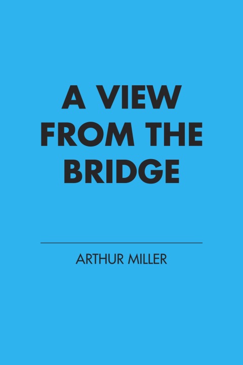 Cover image for book A View from the Bridge