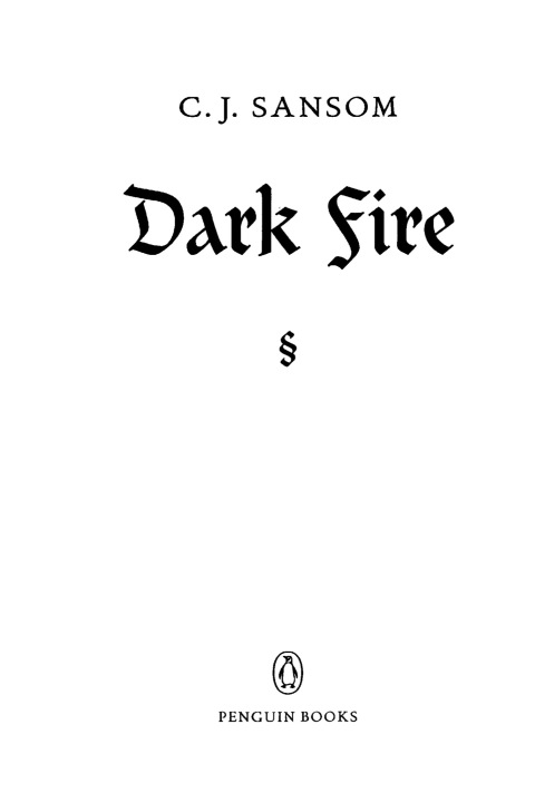 Cover image for book Dark Fire
