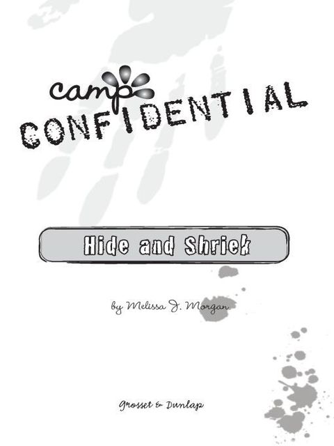 Cover image for book Hide and Shriek #14