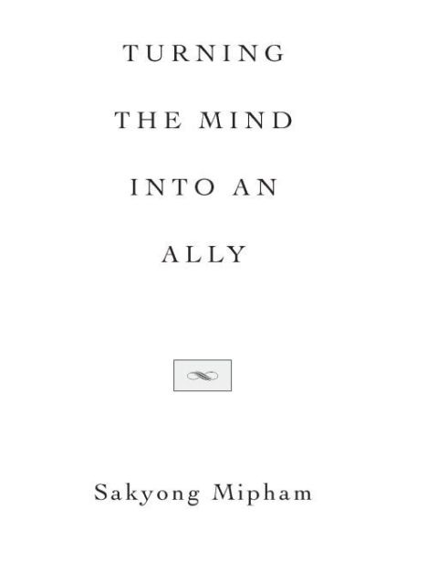 Cover image for book Turning the Mind Into an Ally