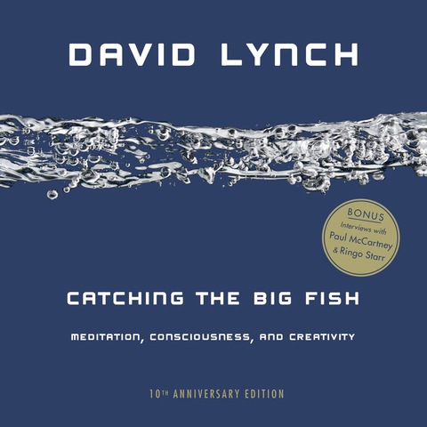 Cover image for book Catching the Big Fish