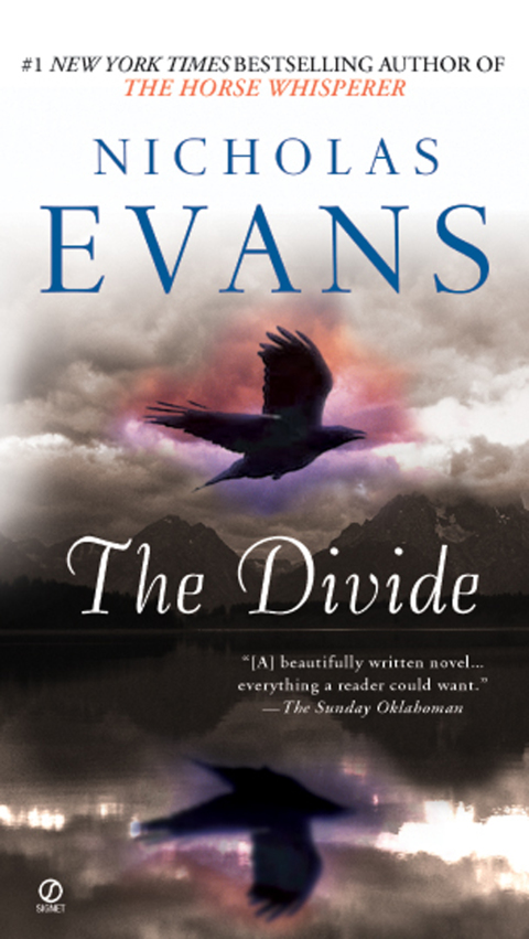 Cover image for book The Divide