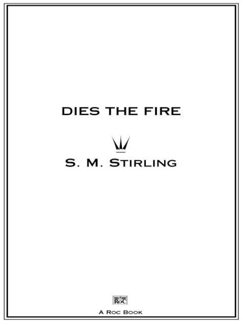 Cover image for book Dies the Fire