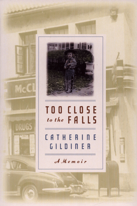 Cover image for book Too Close to the Falls