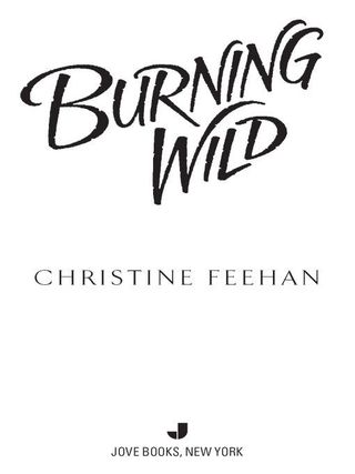 Burning Wild