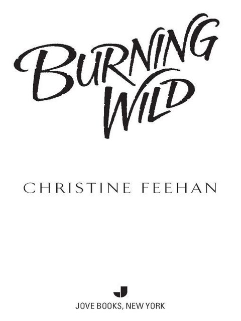 Cover image for book Burning Wild