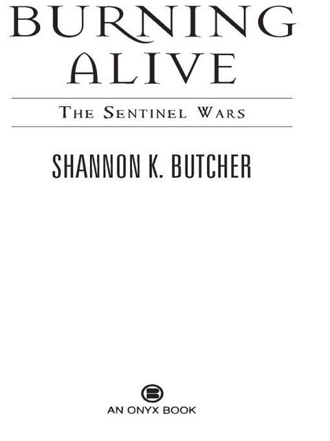Cover image for book Burning Alive