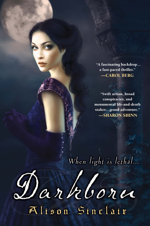 Cover image for book Darkborn