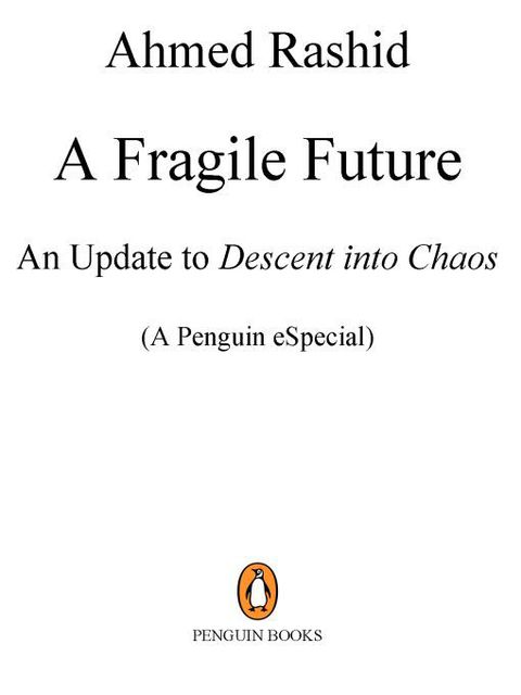 Cover image for book A Fragile Future