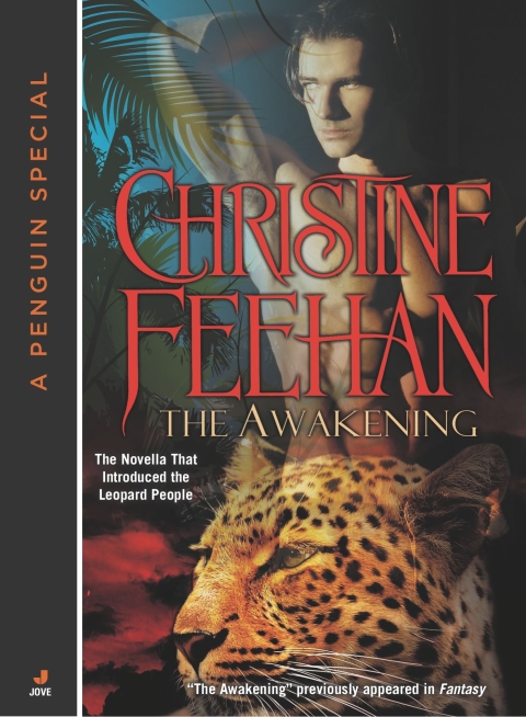 Cover image for book The Awakening