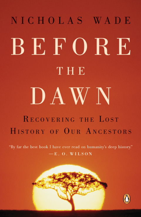 Cover image for book Before the Dawn