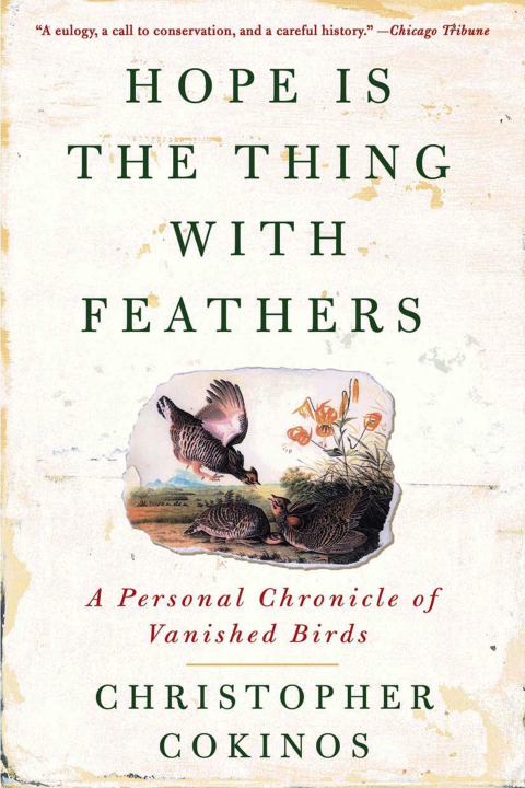 Cover image for book Hope Is the Thing With Feathers