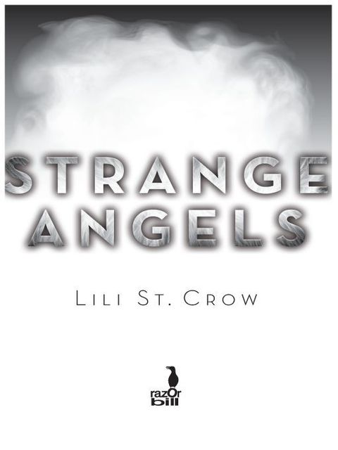 Cover image for book Strange Angels