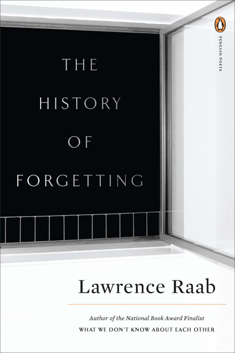 Cover image for book The History of Forgetting