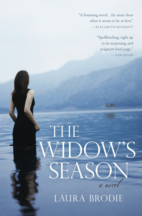 Cover image for book The Widow's Season