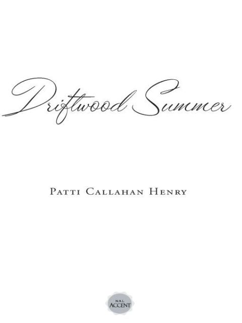 Cover image for book Driftwood Summer