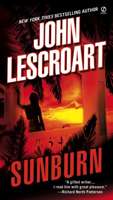 Cover image for book Sunburn