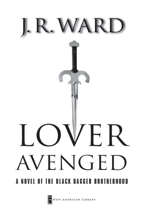 Cover image for book Lover Avenged