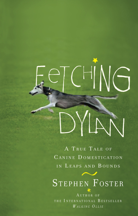 Cover image for book Fetching Dylan
