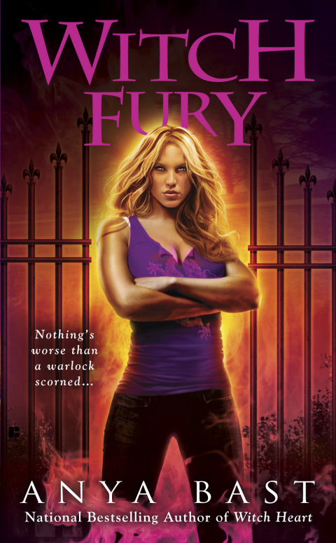 Cover image for book Witch Fury