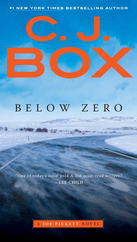 Cover image for book Below Zero