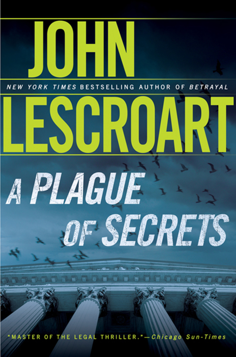 Cover image for book A Plague of Secrets
