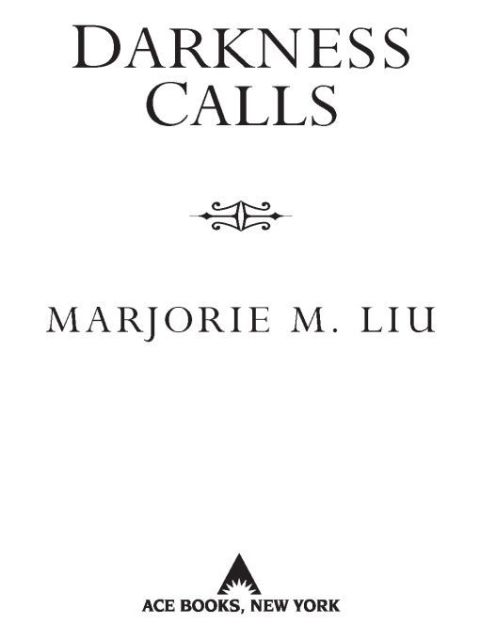 Cover image for book Darkness Calls