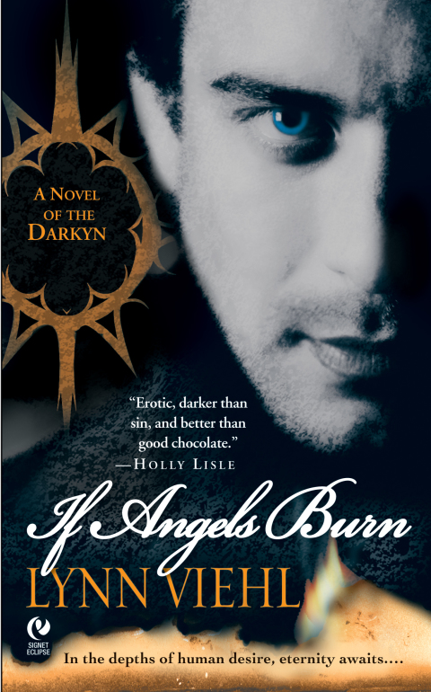 Cover image for book If Angels Burn