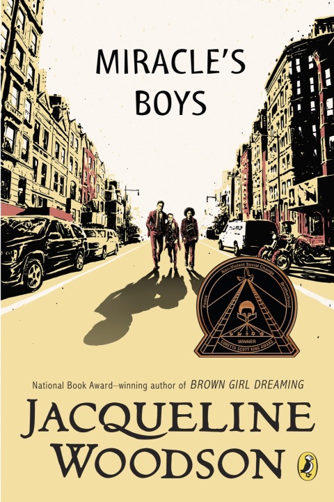 Cover image for book Miracle's Boys