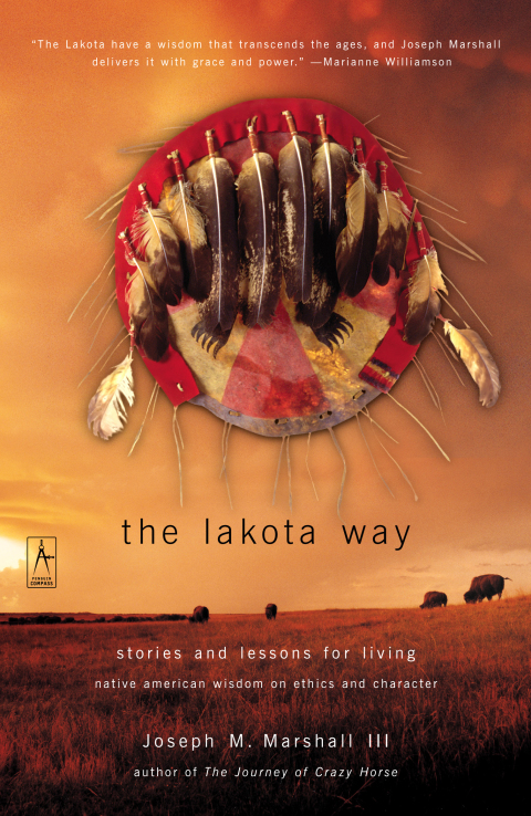 Cover image for book The Lakota Way
