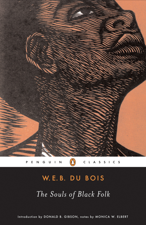 Cover image for book The Souls of Black Folk
