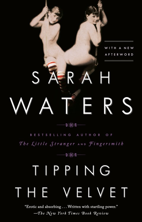Cover image for book Tipping the Velvet