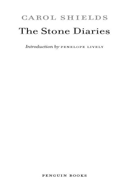 Cover image for book The Stone Diaries