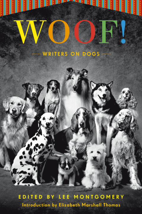 Cover image for book Woof!