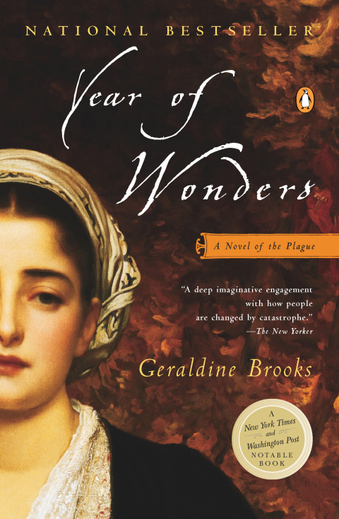 Cover image for book Year of Wonders