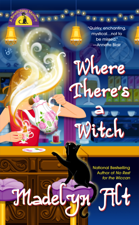 Cover image for book Where There's a Witch