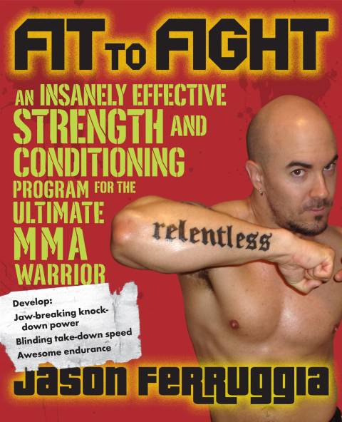 Cover image for book Fit to Fight