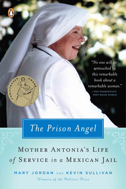 Cover image for book The Prison Angel