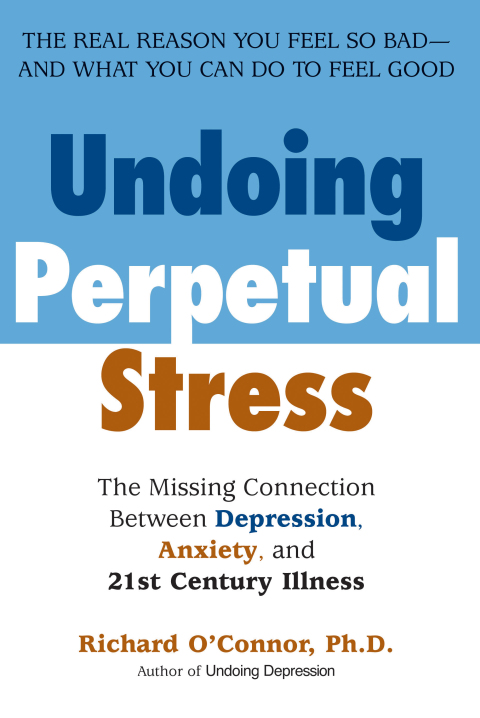 Cover image for book Undoing Perpetual Stress