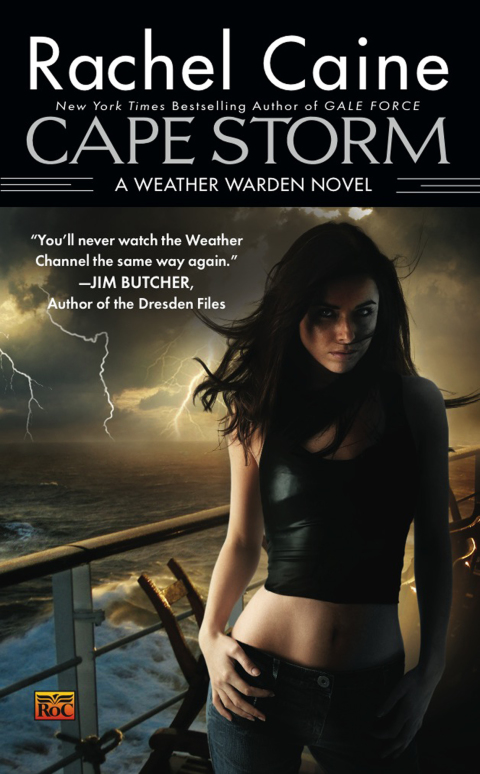 Cover image for book Cape Storm