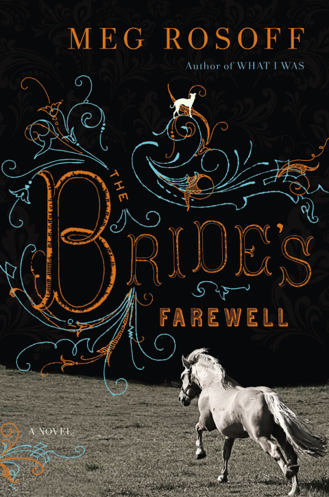 Cover image for book The Bride's Farewell