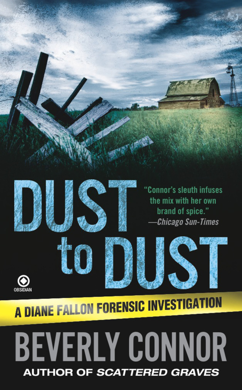 Cover image for book Dust to Dust