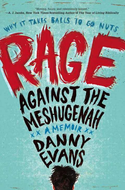 Cover image for book Rage Against the Meshugenah