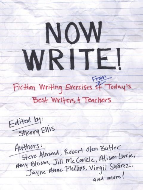 Cover image for book Now Write!