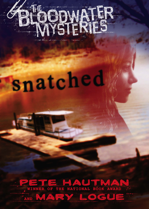 Cover image for book Snatched