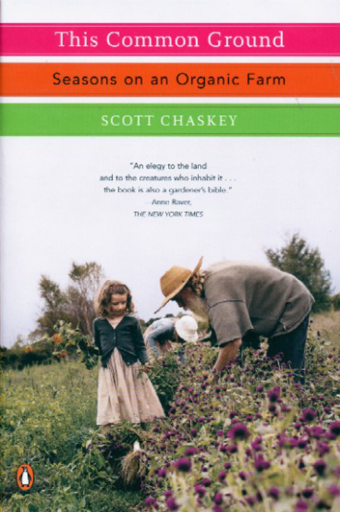 Cover image for book This Common Ground
