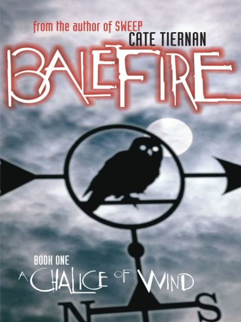 Cover image for book A Chalice of Wind #1