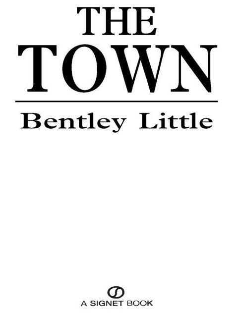 Cover image for book The Town