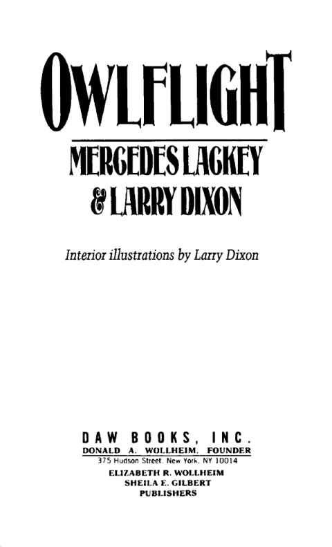 Cover image for book Owlflight