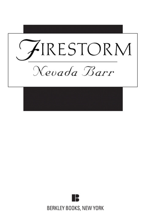 Cover image for book Firestorm